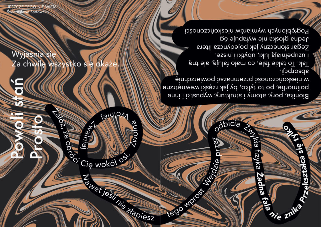 jeszczetegoniewiem_AE-1