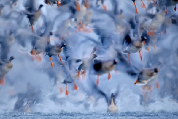 piotr_chara_ND3_0666-nx