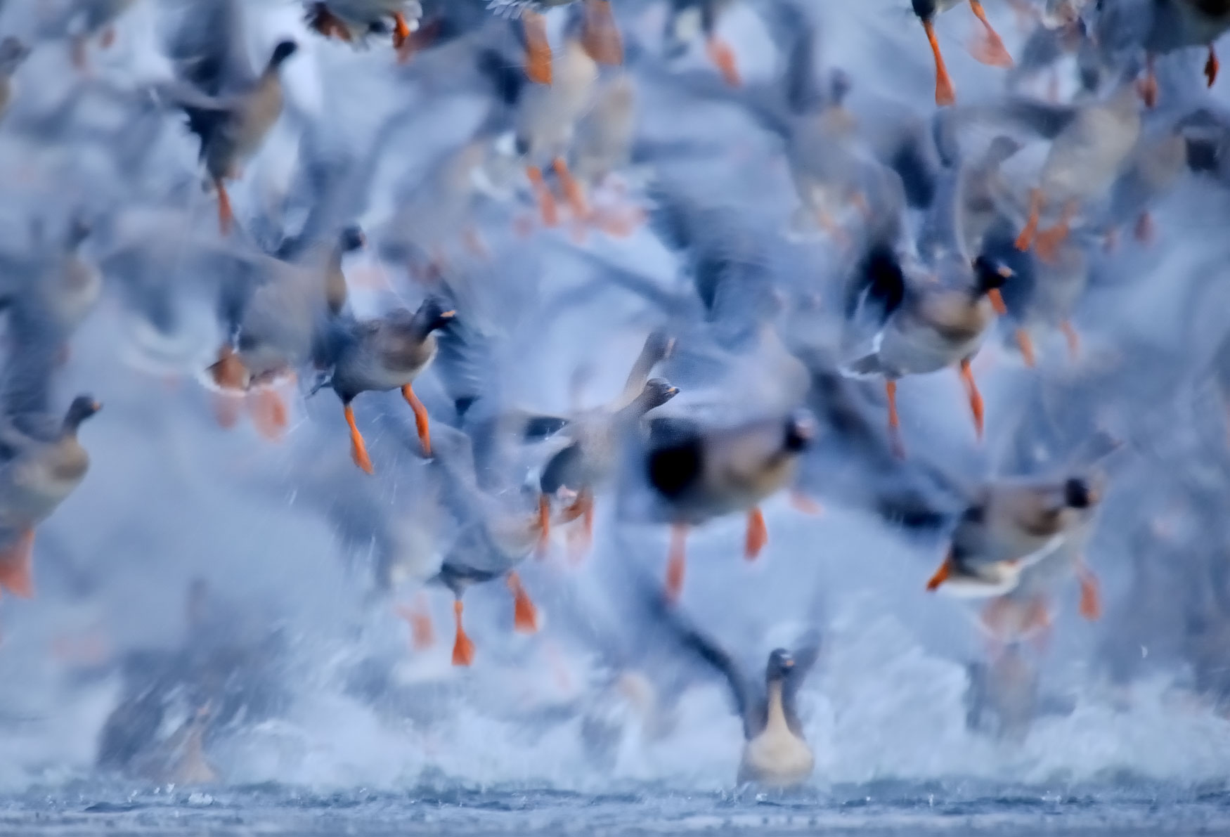 piotr_chara_ND3_0666-nx