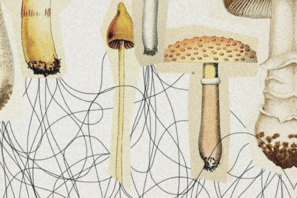 Screenshot 2022-12-23 at 11.40.51