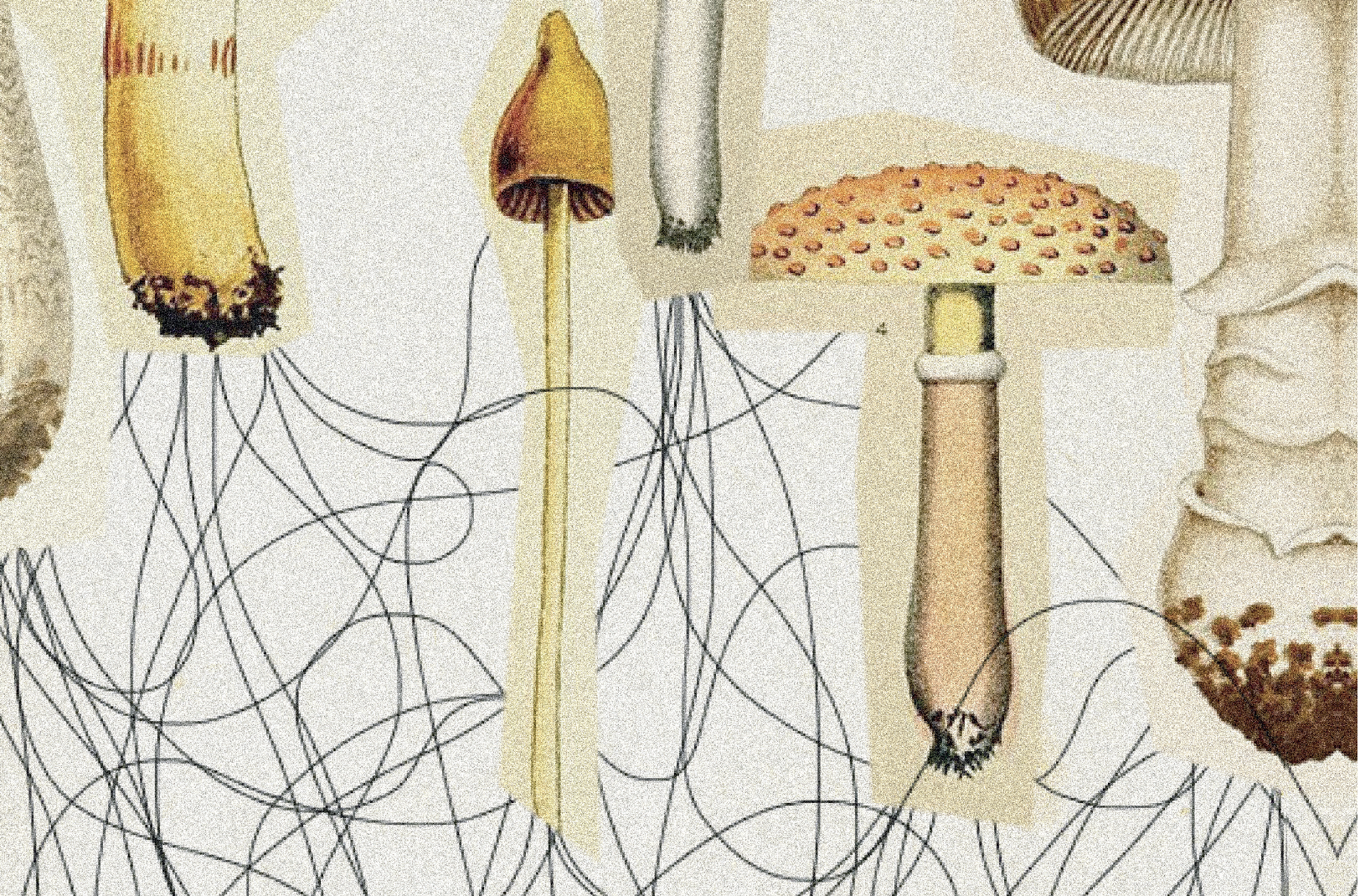 Screenshot 2022-12-23 at 11.40.51