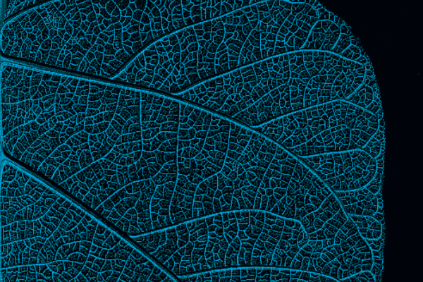 Screenshot 2022-12-23 at 11.46.41