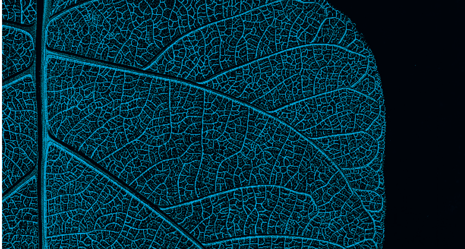 Screenshot 2022-12-23 at 11.46.41